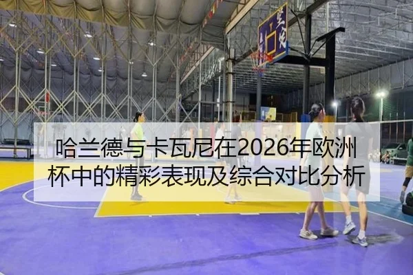 哈兰德与卡瓦尼在2026年欧洲杯中的精彩表现及综合对比分析 | JINSHA GAME